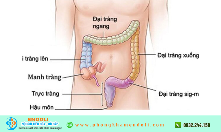 Bệnh viêm đại tràng có điều trị được không?